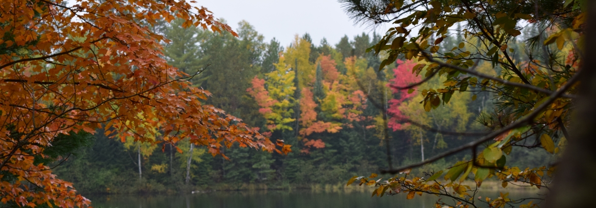 fall color lake